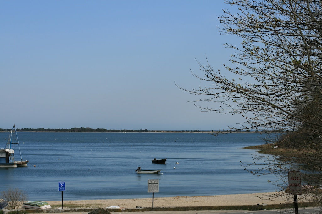 Cotuit Bay shoreline and water from Rope's Beach